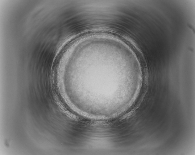 X0000101950832200808011044