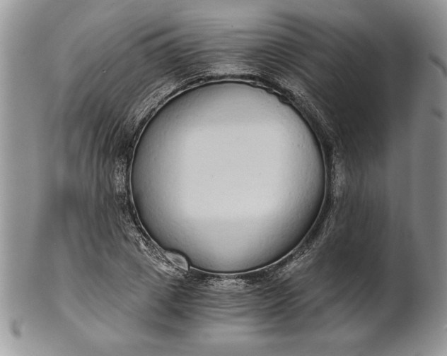 X0000101950833200808011044