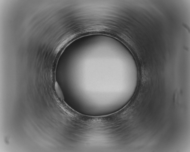 X0000101950834200808011044