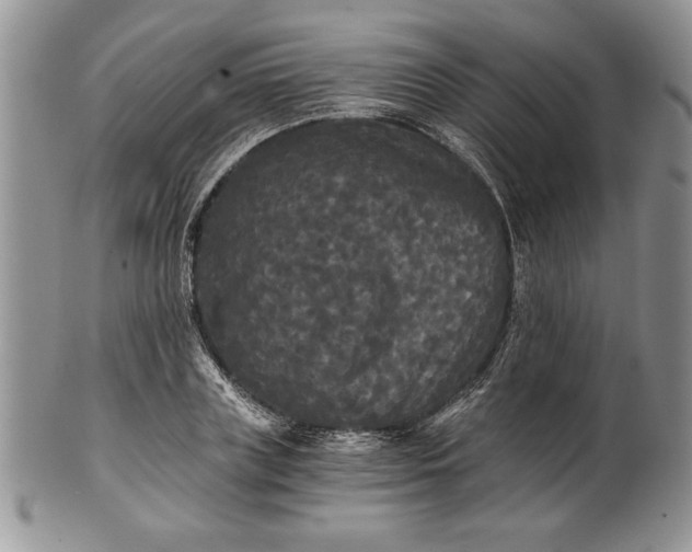 X0000101950835200808011044