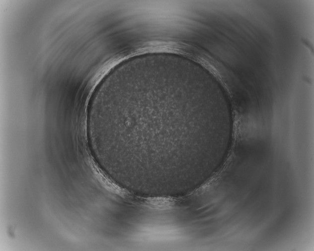 X0000101950836200808011044