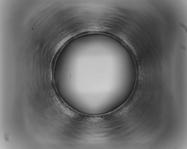 X0000101950837200808011044