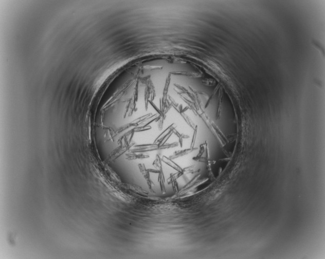 X0000101950838200808011044