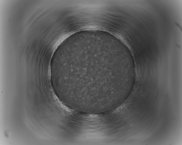 X0000101950839200808011044