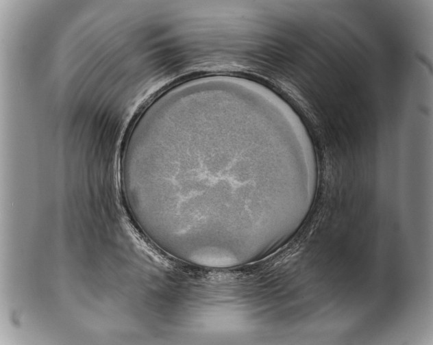 X0000101950840200808011044