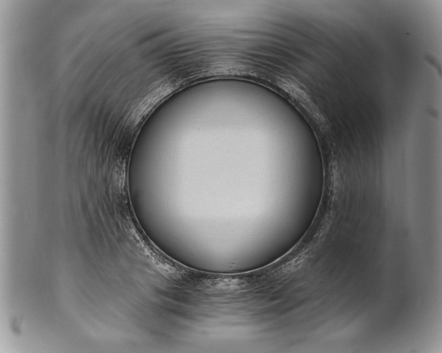 X0000101950841200808011044