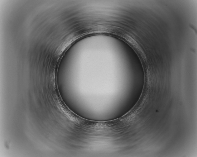 X0000101950842200808011044