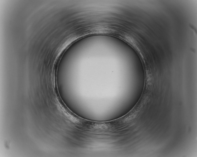 X0000101950843200808011044