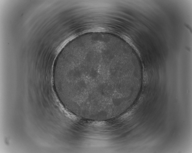 X0000101950845200808011044