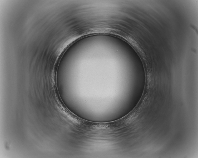 X0000101950846200808011044