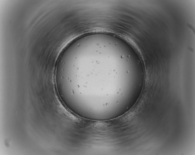 X0000101950847200808011044