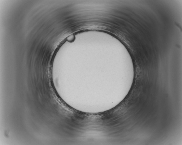 X0000101950848200808011044