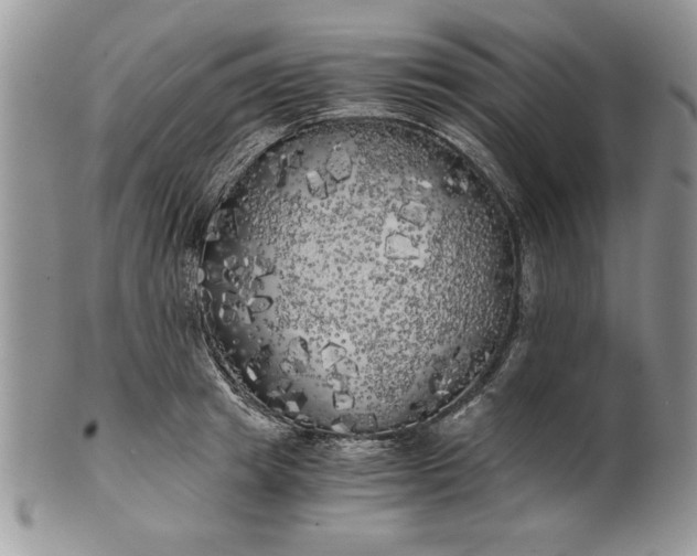 X0000101950849200808011044