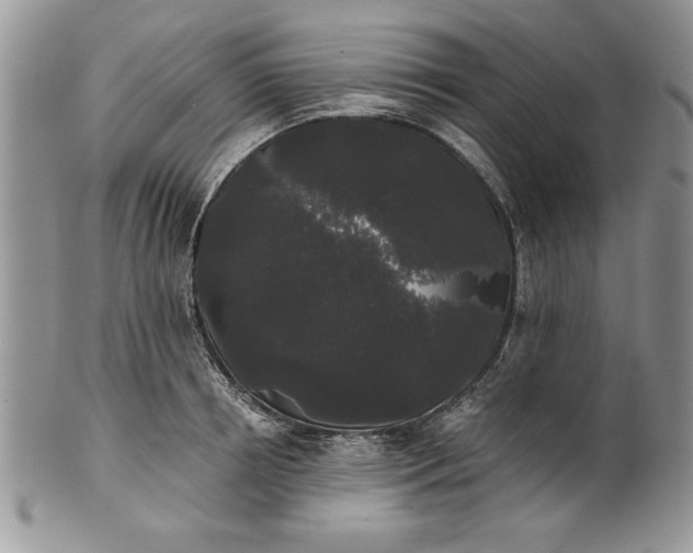 X0000101950850200808011044