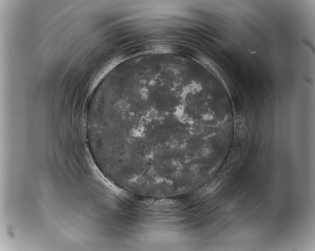 X0000101950851200808011044