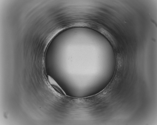 X0000101950852200808011044