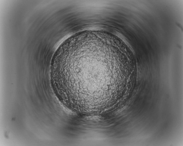 X0000101950853200808011044