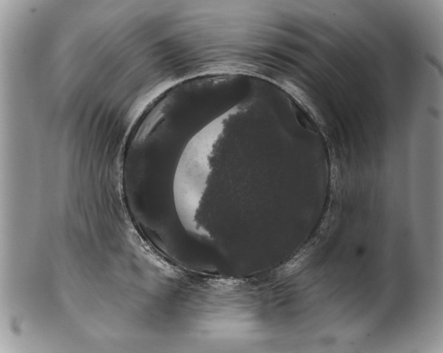 X0000101950854200808011044