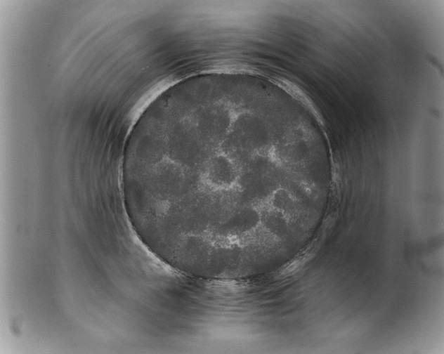 X0000101950855200808011044