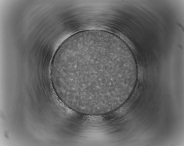 X0000101950856200808011044