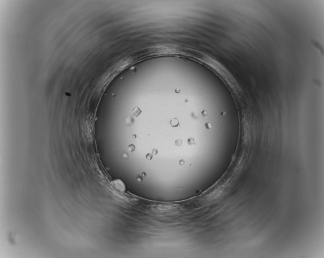 X0000101950857200808011044