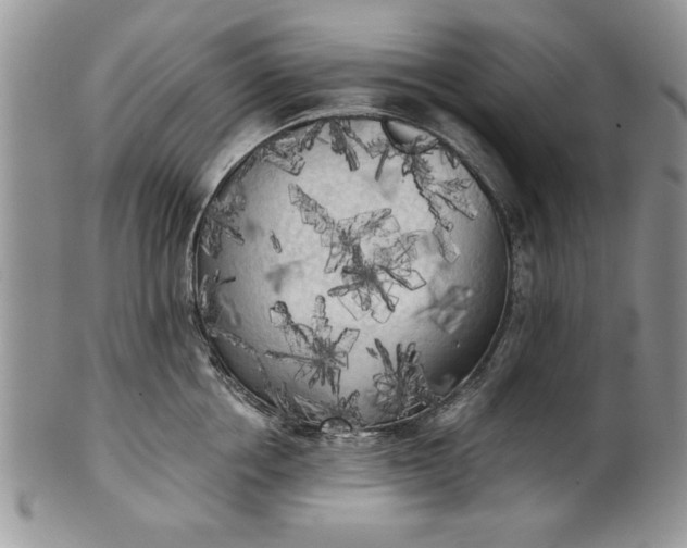 X0000101950858200808011044