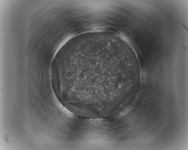 X0000101950859200808011044