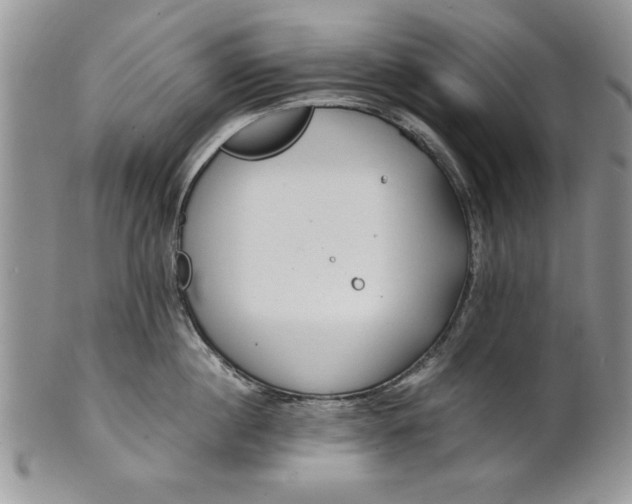 X0000101950860200808011044