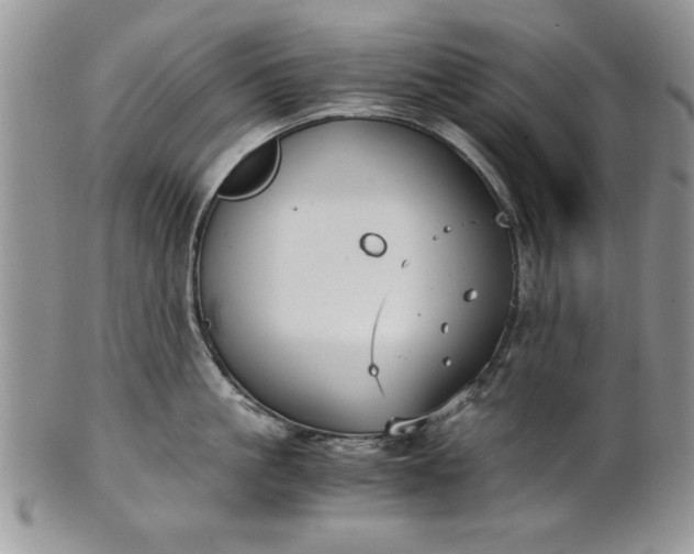 X0000101950861200808011044