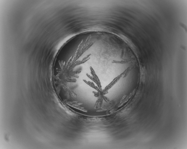 X0000101950862200808011044