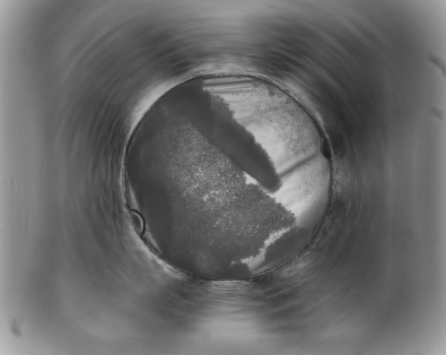 X0000101950863200808011044