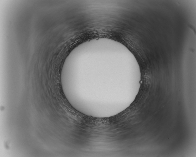 X0000101950865200808011043