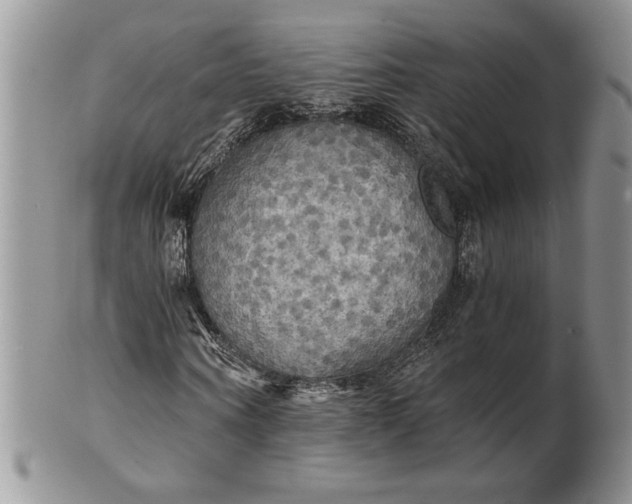 X0000101950866200808011043