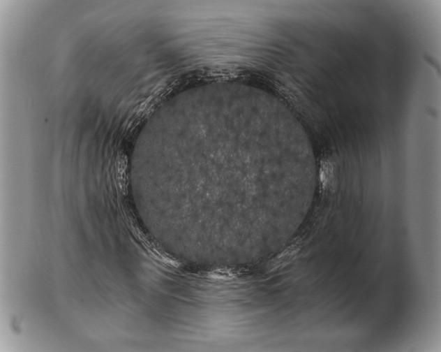 X0000101950867200808011043