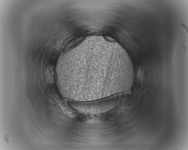 X0000101950868200808011043