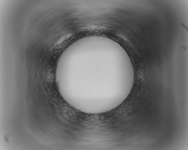 X0000101950869200808011043