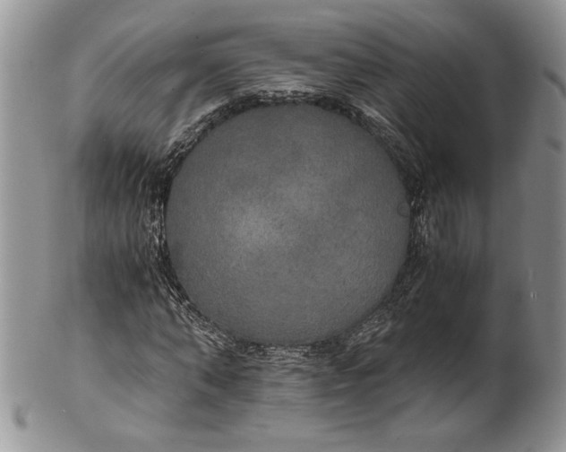 X0000101950870200808011043