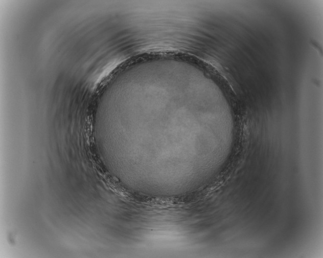 X0000101950871200808011043