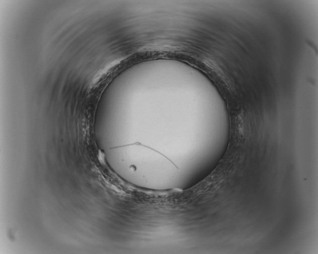 X0000101950872200808011043