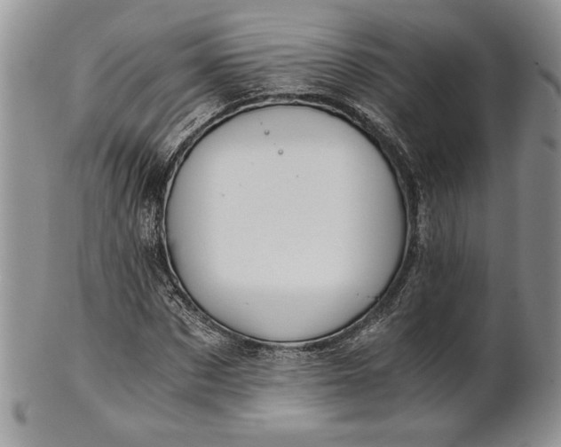 X0000101950873200808011043