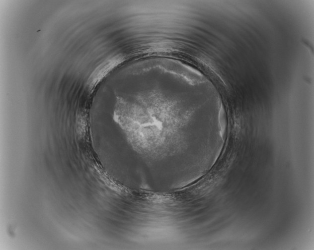 X0000101950874200808011043