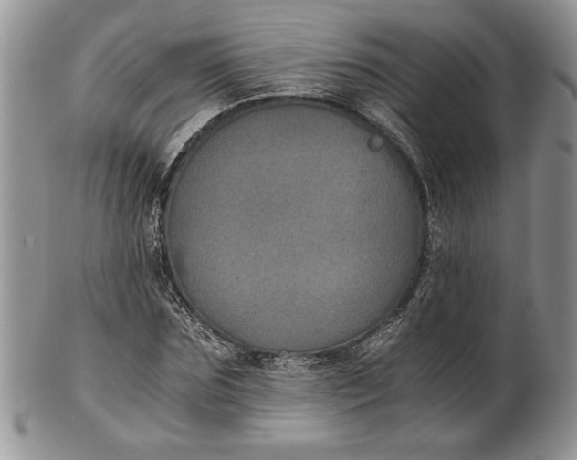 X0000101950875200808011043