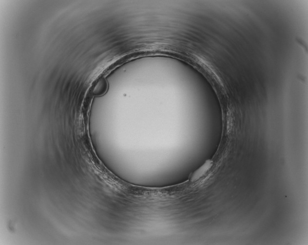 X0000101950876200808011043