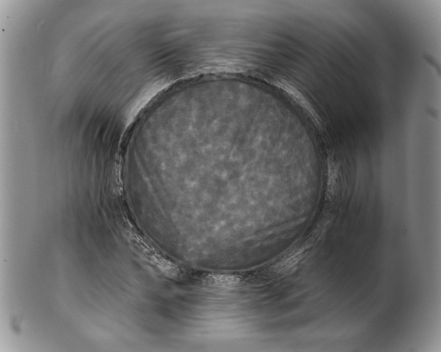 X0000101950878200808011043