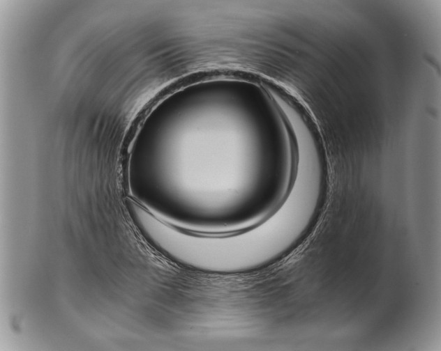 X0000101950879200808011043