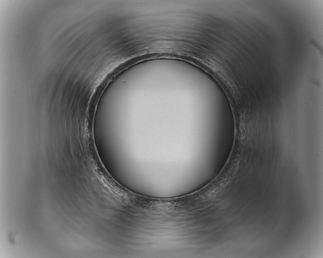 X0000101950880200808011043