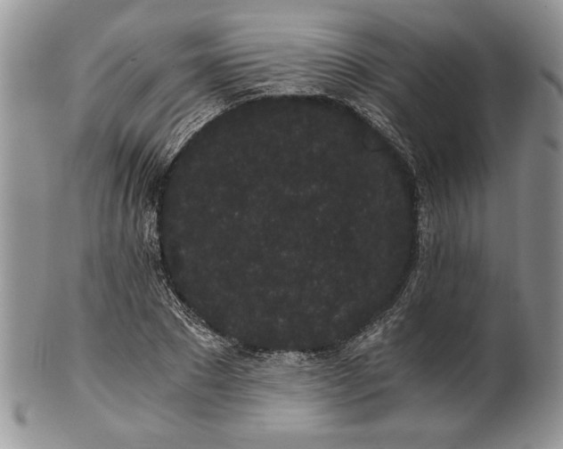 X0000101950881200808011043