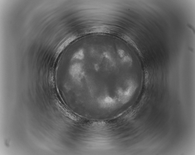 X0000101950882200808011043