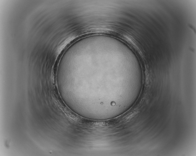 X0000101950883200808011043