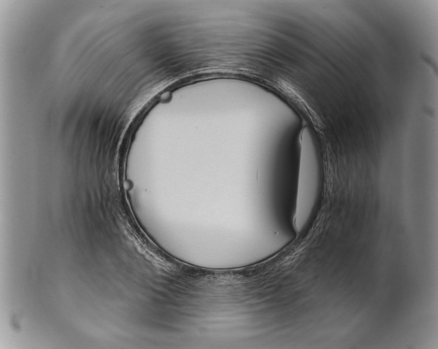 X0000101950884200808011043